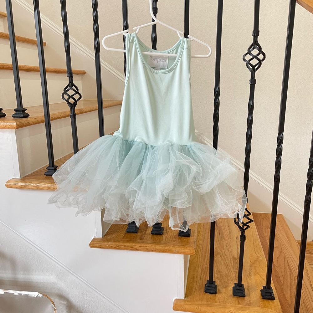 Tutu Dress